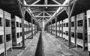 Внутри барака Освенцим