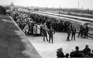 Селекция в Освенциме