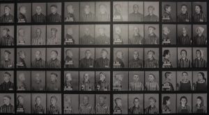 Фото убитых узников